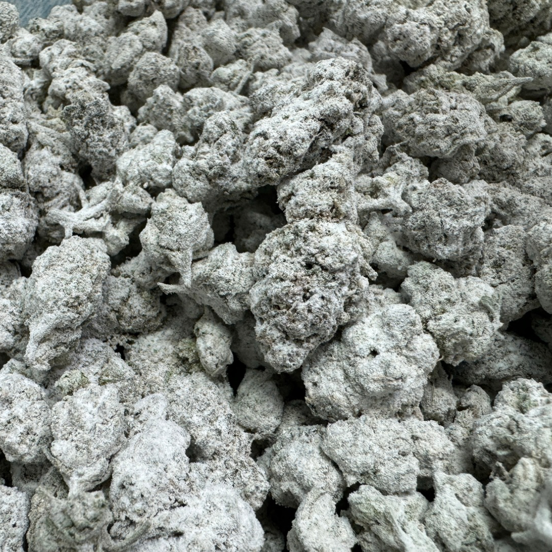 Sunset Sherbert Sno Caps Retail