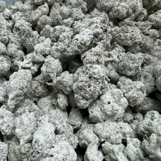 Sunset Sherbert Sno Caps Retail