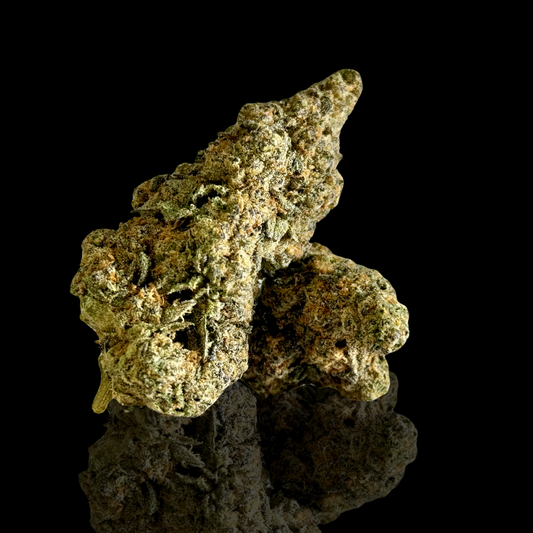 M.O.B (Money Over Bitches / Mother of Berries)