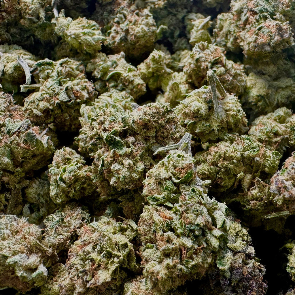 Panama Red Prepacks